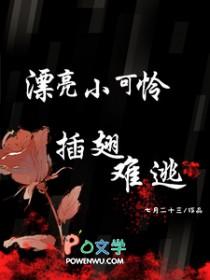 太子选妃不求人免费阅读